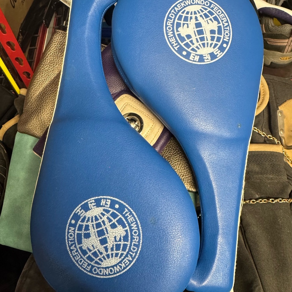 Blue Taekwondo Kick Pads